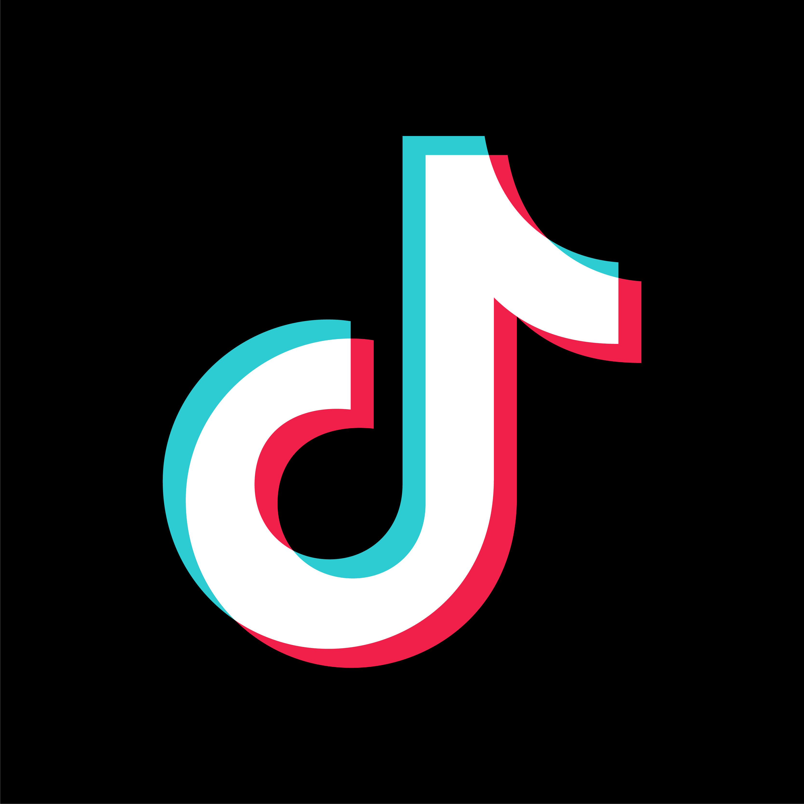 tiktokアイコン